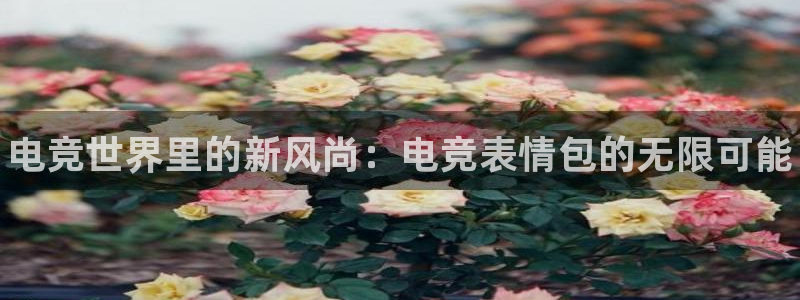 完美电竞|官网：电竞世界里的新风尚：电竞表情包的无限可能
