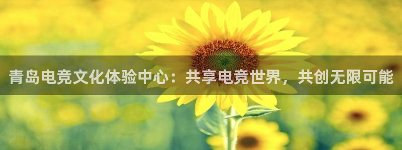 完美电竞官网首页：青岛电竞文化体验中心：共享电竞世界，共创无限可能