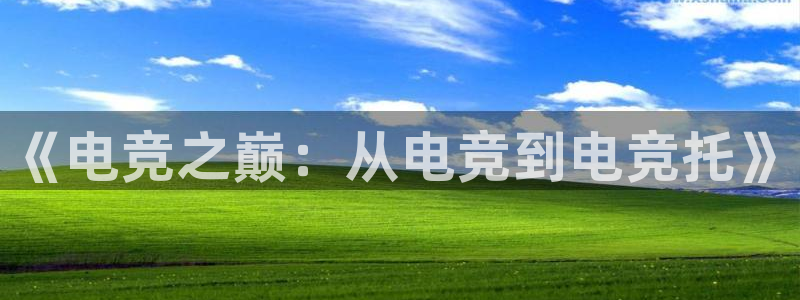 完美电竞app官网：《电竞之巅：从电竞到电竞托》