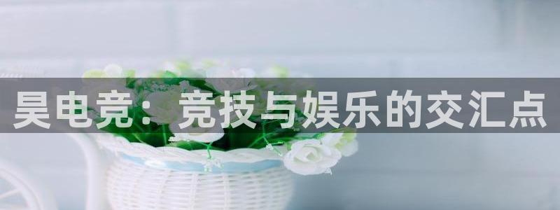完美电竞直播：昊电竞：竞技与娱乐的交汇点