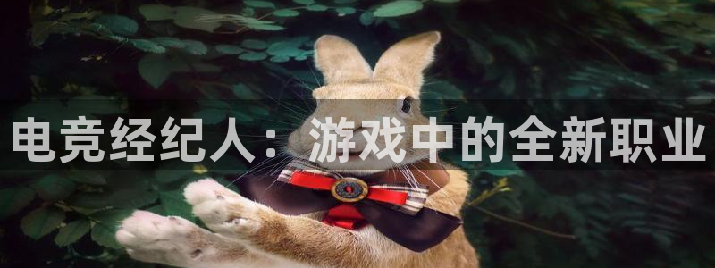 完美电竞app下载：电竞经纪人：游戏中的全新职业