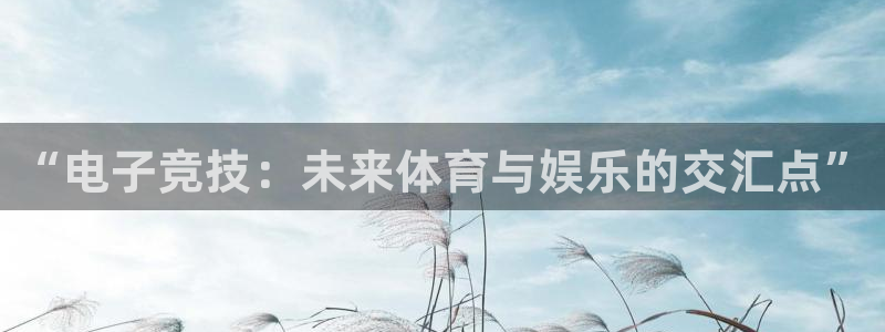 完美电竞官网首页：“电子竞技：未来体育与娱乐的交汇点”