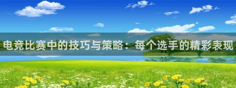完美电竞世界：电竞比赛中的技巧与策略：每个选手的精彩表现