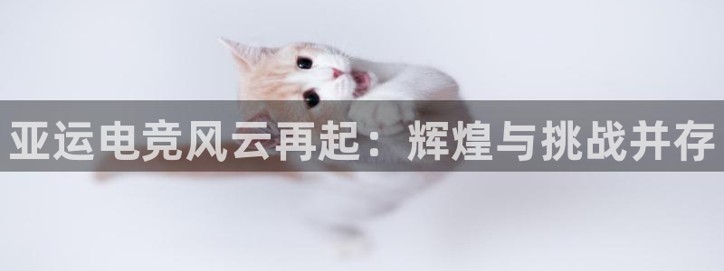 完美电竞平台排行榜：亚运电竞风云再起：辉煌与挑战并存