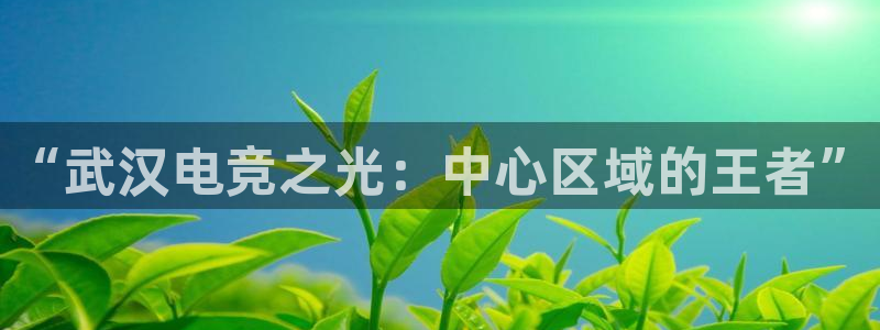 完美电竞查询：“武汉电竞之光：中心区域的王者”