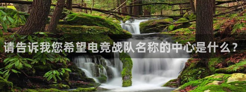 完美电竞app下载：请告诉我您希望电竞战队名称的中心是什么？
