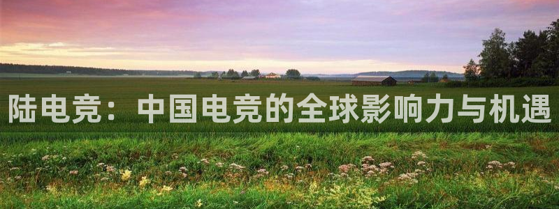 完美电竞手机app：陆电竞：中国电竞的全球影响力与机遇