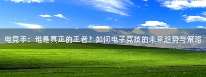 完美电竞平台排行榜：电竞手：谁是真正的王者？如何电子竞技的未来趋势与策略