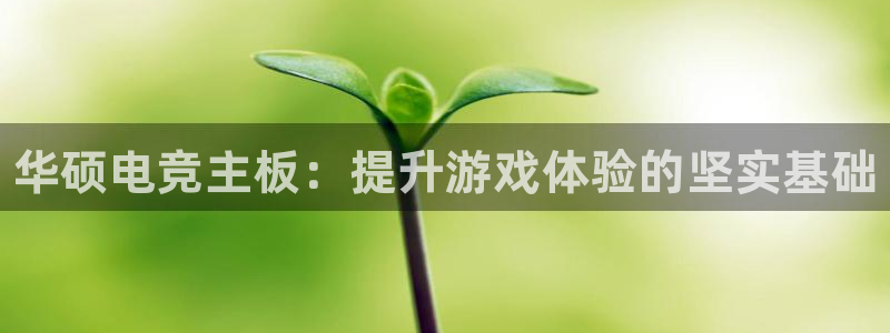 完美电竞平台下载：华硕电竞主板：提升游戏体验的坚实基础