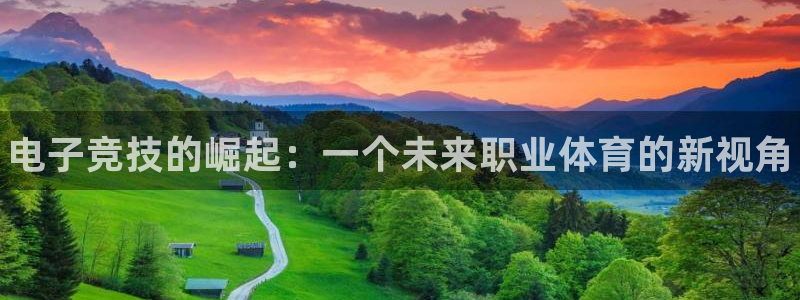 完美电竞对战平台：电子竞技的崛起：一个未来职业体育的新视角
