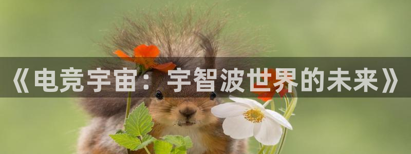 完美电竞平台官网：《电竞宇宙：宇智波世界的未来》