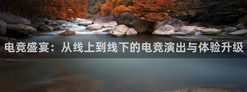 完美电竞账号：电竞盛宴：从线上到线下的电竞演出与体验升级