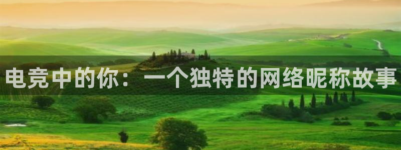 完美电竞官网盛大升级：电竞中的你：一个独特的网络昵称故事