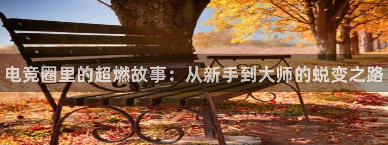 完美电竞官网：电竞圈里的超燃故事：从新手到大师的蜕变之路
