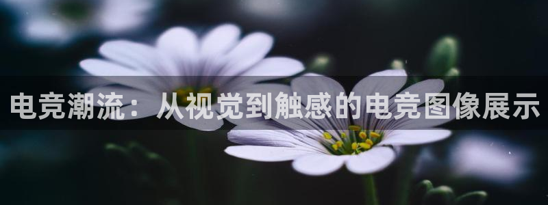 csgo完美电竞：电竞潮流：从视觉到触感的电竞图像展示