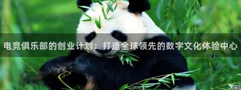 完美电竞cs：电竞俱乐部的创业计划：打造全球领先的数字文化体验中心