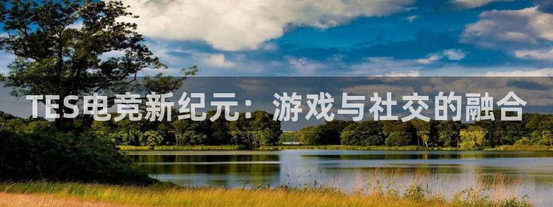 完美电竞世界：TES电竞新纪元：游戏与社交的融合