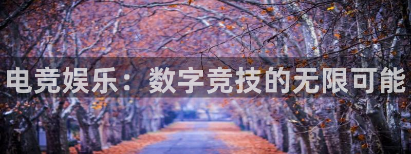 cs完美电竞平台：电竞娱乐：数字竞技的无限可能