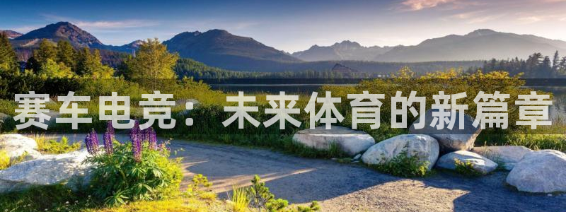 完美电竞查询：赛车电竞：未来体育的新篇章