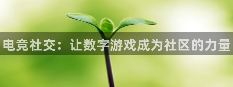 完美电竞app官网：电竞社交：让数字游戏成为社区的力量