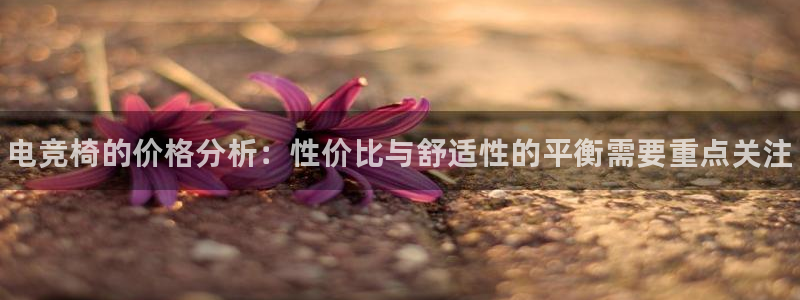 完美电竞世界：电竞椅的价格分析：性价比与舒适性的平衡需要重点关注